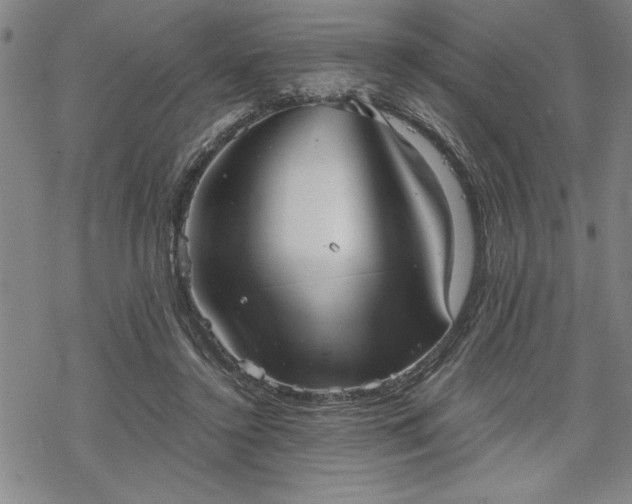 X0000069830356200605221213