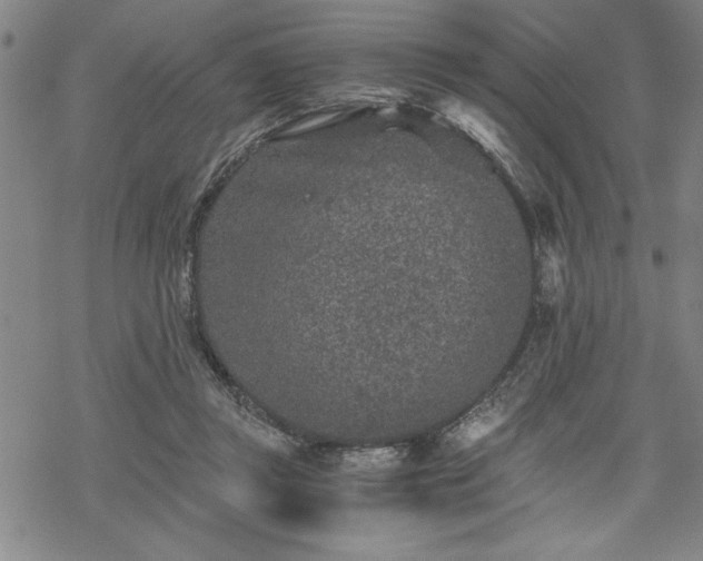 X0000069830357200605221213