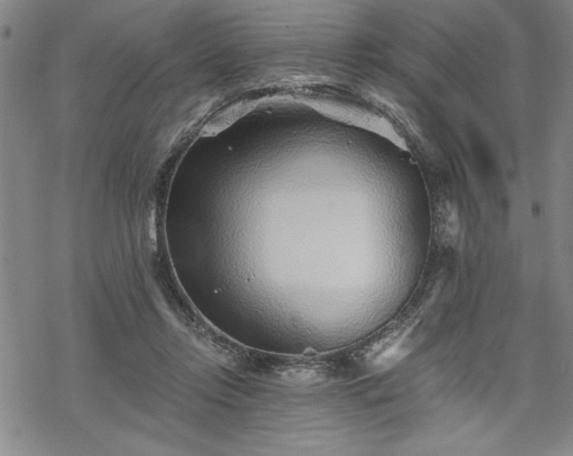 X0000069830358200605221213