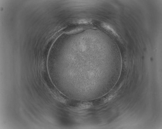 X0000069830359200605221213