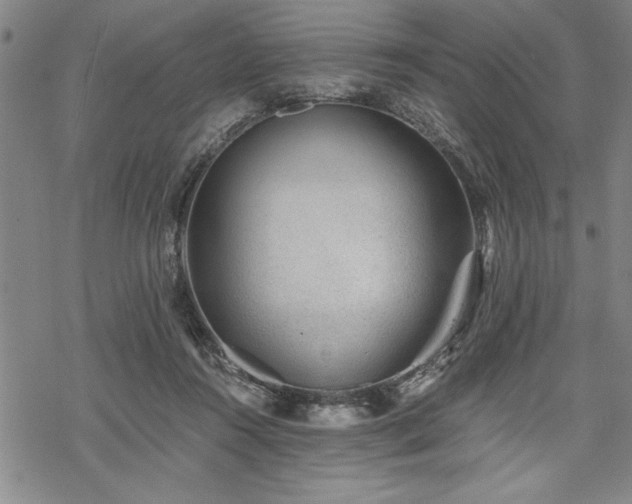 X0000069830360200605221213