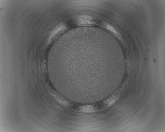 X0000069830361200605221213