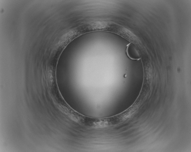 X0000069830362200605221213