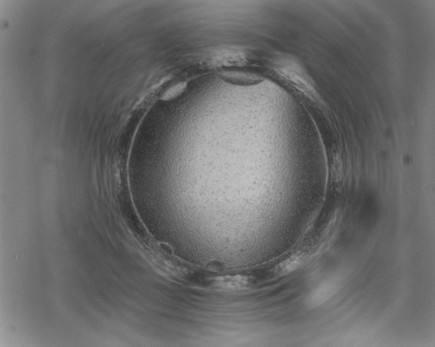 X0000069830363200605221213