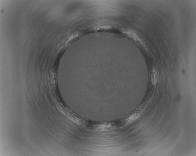 X0000069830366200605221213