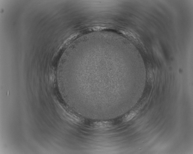 X0000069830367200605221213