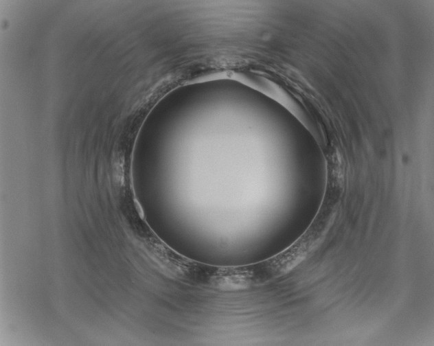 X0000069830368200605221213