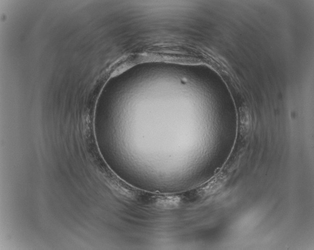 X0000069830369200605221213