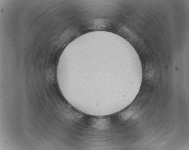 X0000069830370200605221213