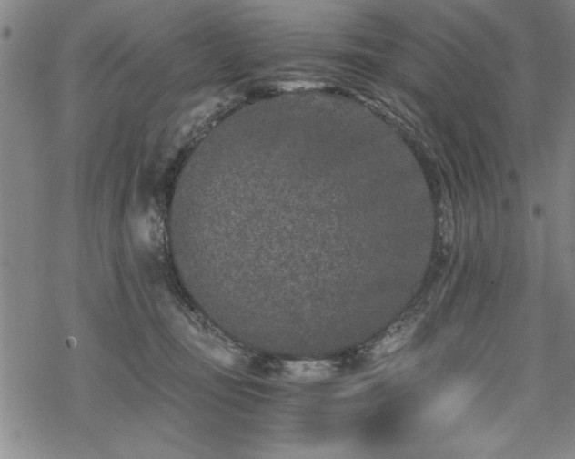 X0000069830371200605221213