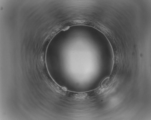 X0000069830373200605221213