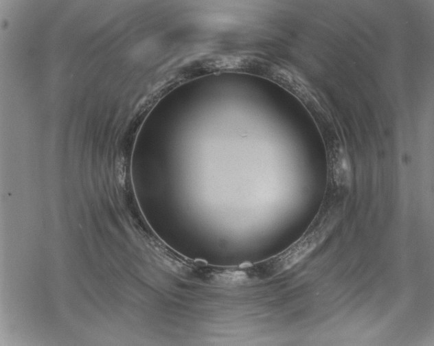 X0000069830374200605221213