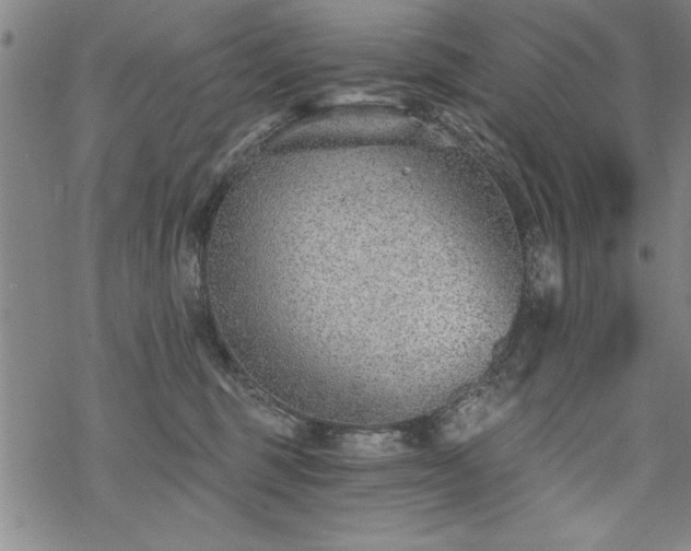 X0000069830375200605221213