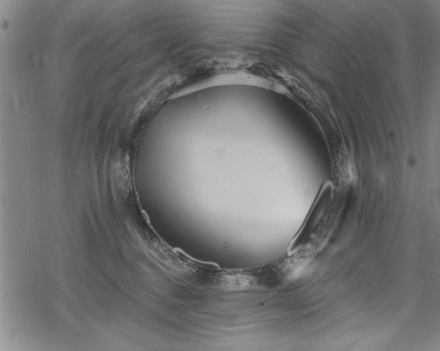 X0000069830376200605221213