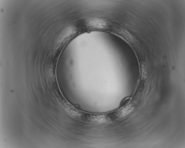 X0000069830377200605221213