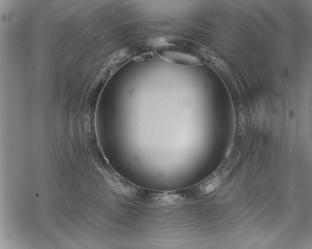 X0000069830379200605221213