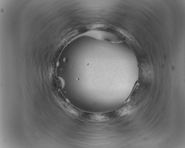 X0000069830380200605221213