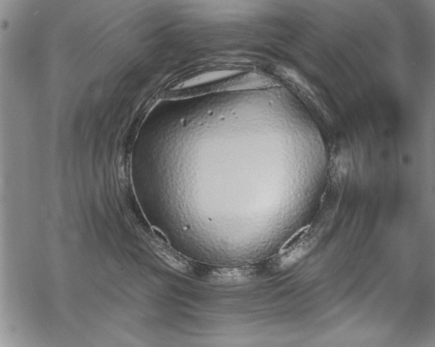 X0000069830381200605221213