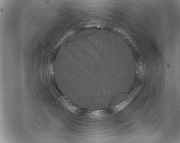 X0000069830382200605221213