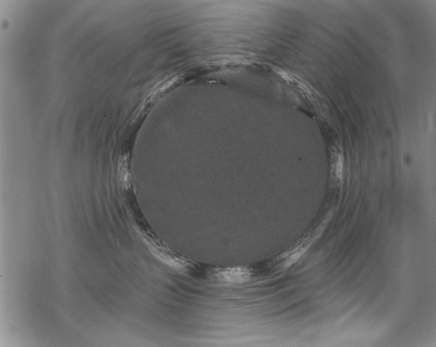 X0000069830383200605221213