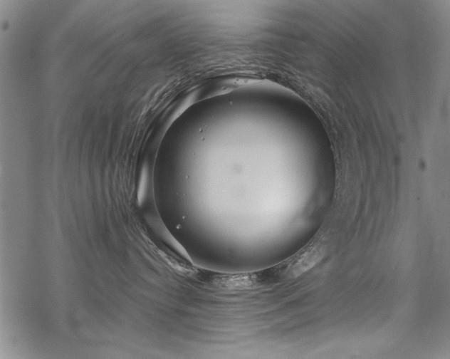 X0000069830384200605221213