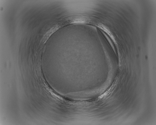 X0000069830385200605221212