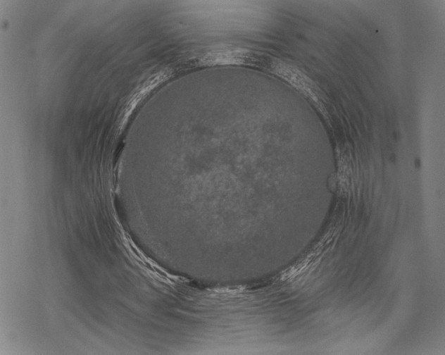 X0000069830386200605221212