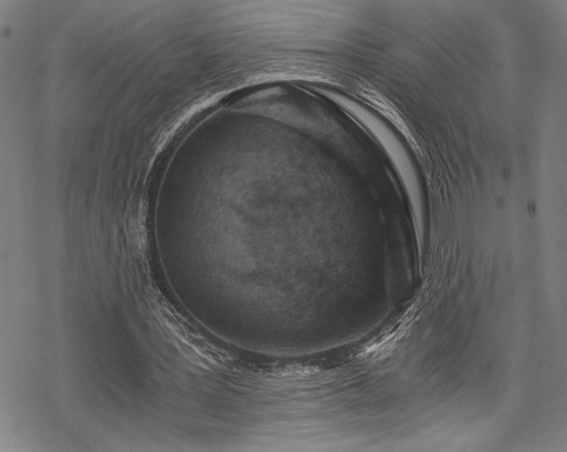 X0000069830387200605221212