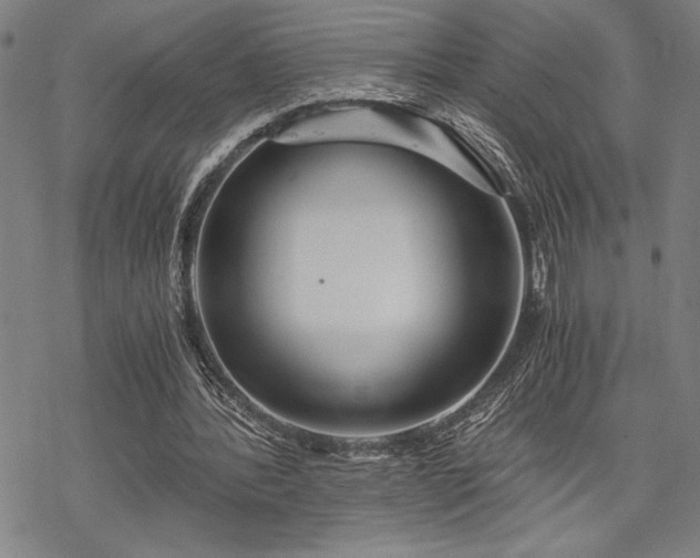 X0000069830388200605221212