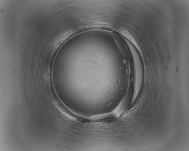 X0000069830389200605221212