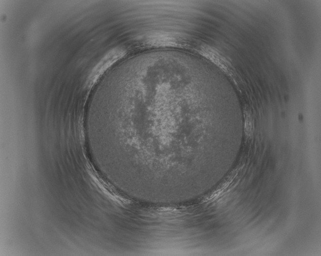 X0000069830390200605221212