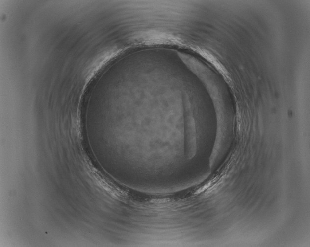 X0000069830391200605221212