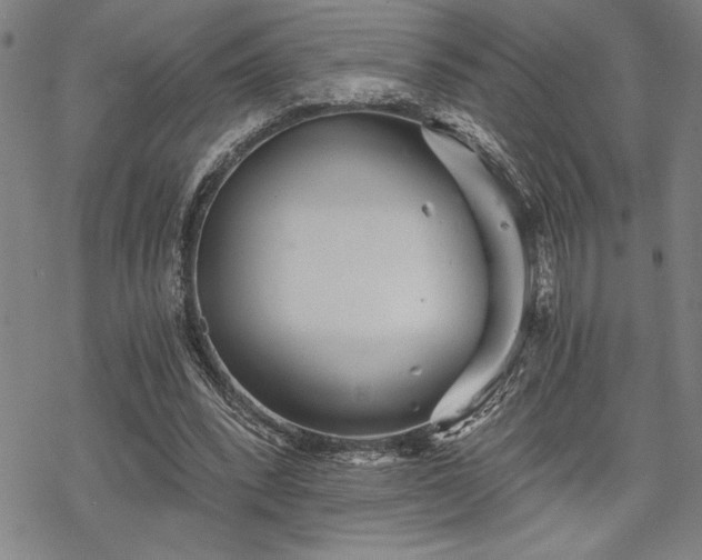 X0000069830392200605221212