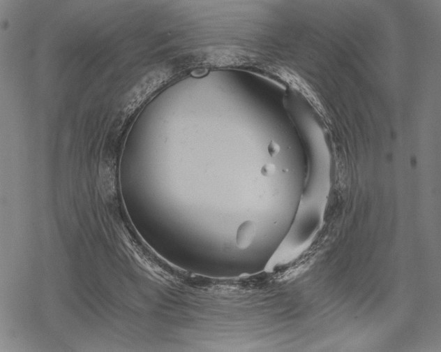 X0000069830393200605221212