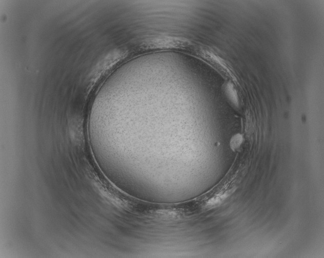 X0000069830394200605221212