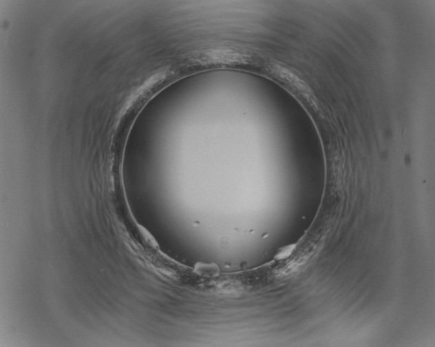 X0000069830395200605221212