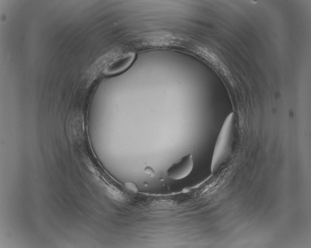 X0000069830397200605221212