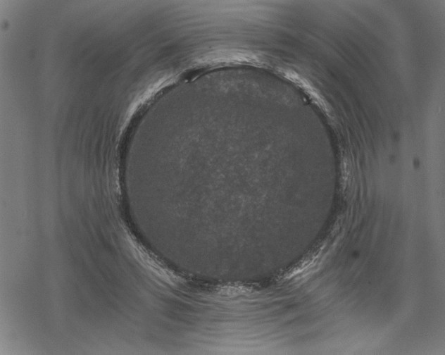 X0000069830399200605221212