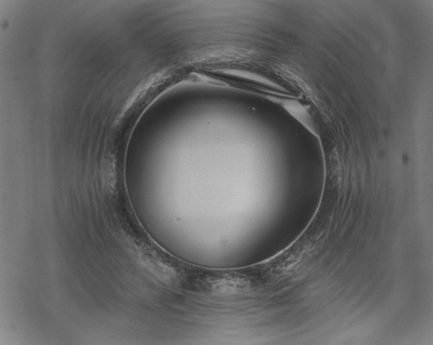 X0000069830400200605221212