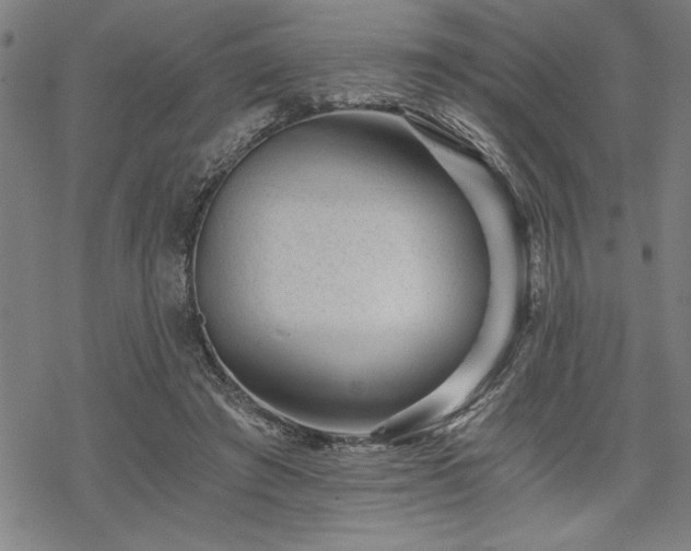 X0000069830401200605221212