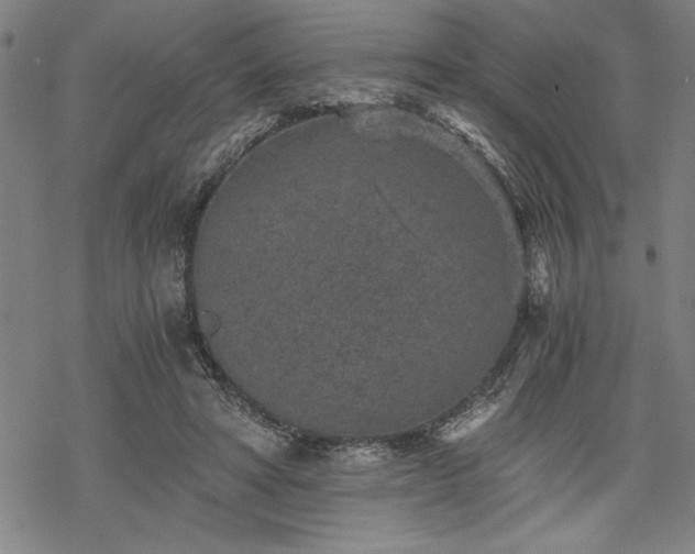 X0000069830402200605221212