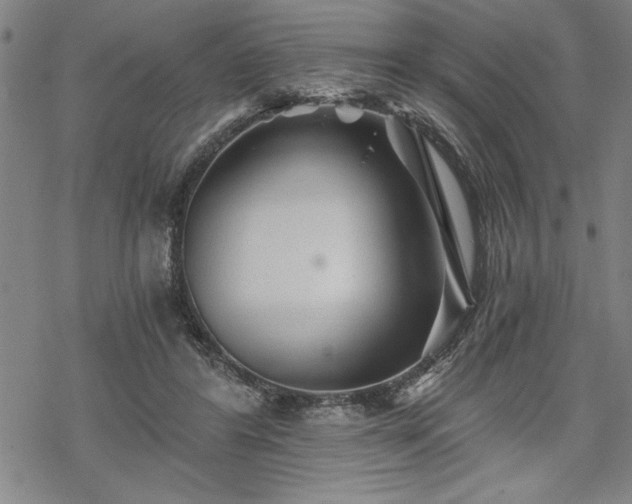 X0000069830404200605221212