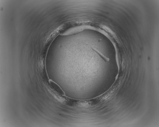 X0000069830405200605221212