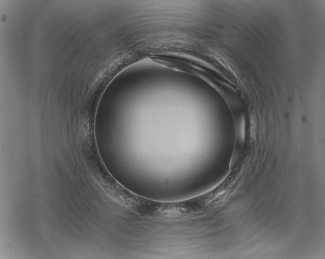 X0000069830407200605221212