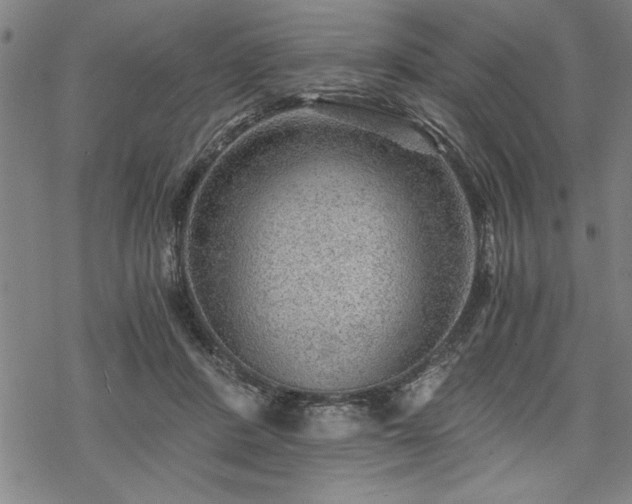 X0000069830408200605221212