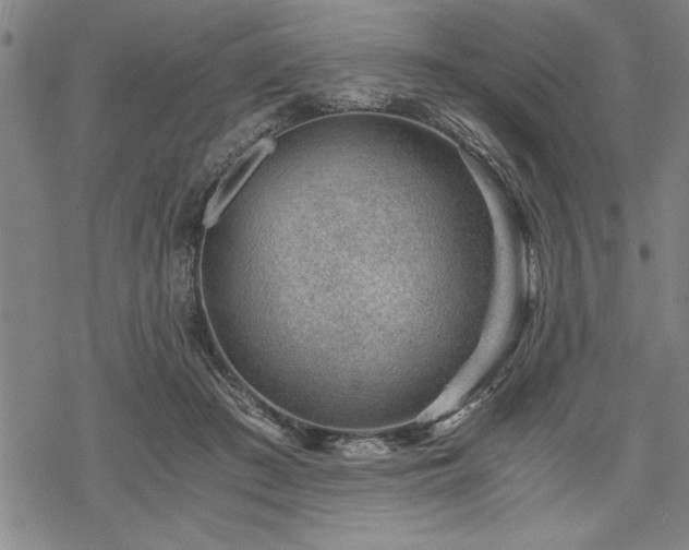 X0000069830409200605221212