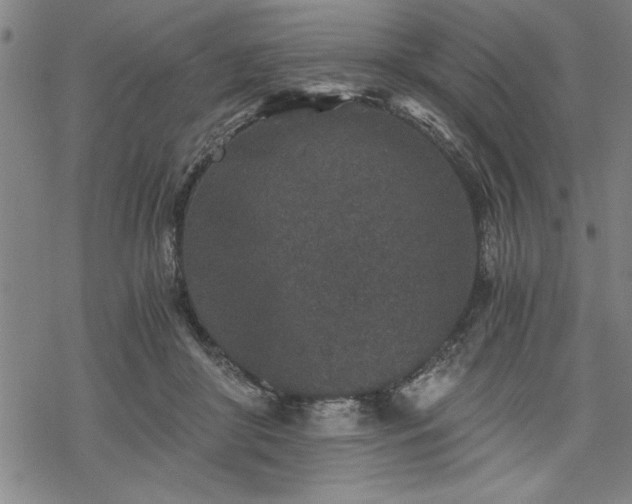 X0000069830410200605221212