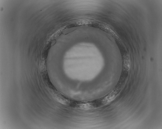 X0000069830411200605221212