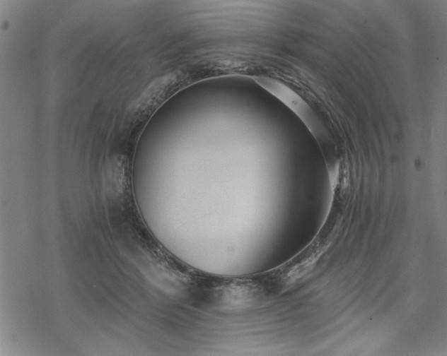 X0000069830412200605221212