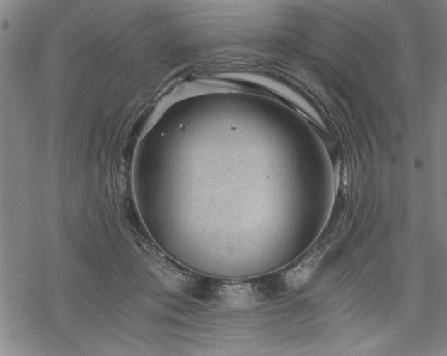 X0000069830413200605221212